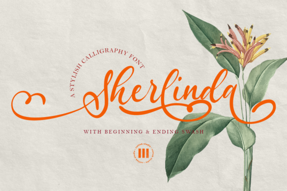 Discovering Sherlinda: A Magical Script Font for Editorial Design