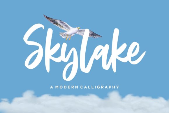 Transform Your Brand with Skylake: A Delicate Script Font